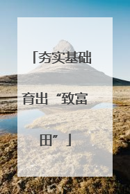夯实基础育出“致富田”